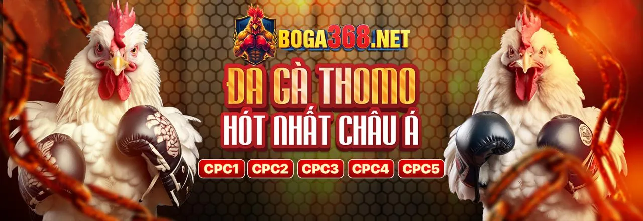 Tin tức trực tiếp đá gà hấp dẫn