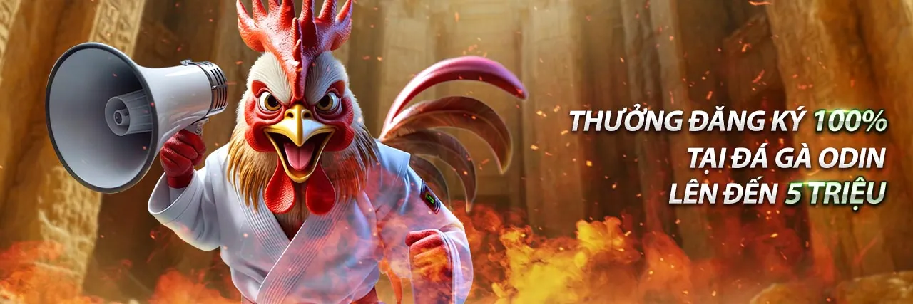 Hình ảnh chính về đá gà trực tiếp