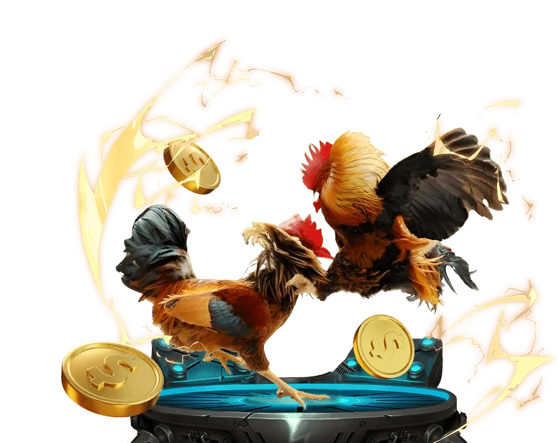 Khuyến mãi đá gà trực tiếp